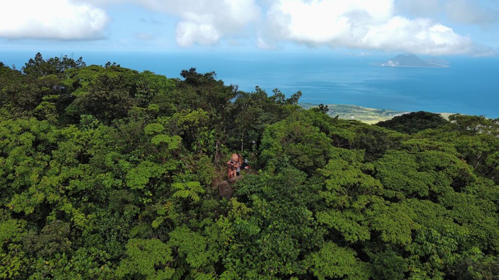 Mount Liamuiga Proposal