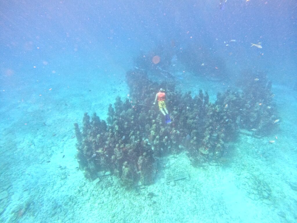 swimming all the way down to the bottom of the ocean to see the underwater museum.