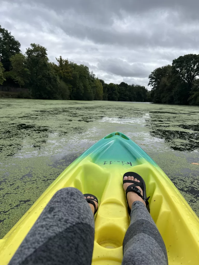 Kayaking on the river with tiny green leaves covering the water