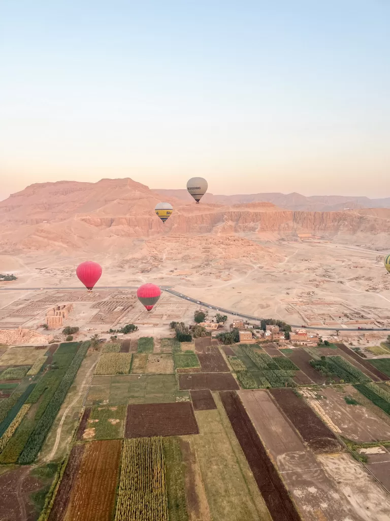 Hot air balloons over Luxor farm fields and desert