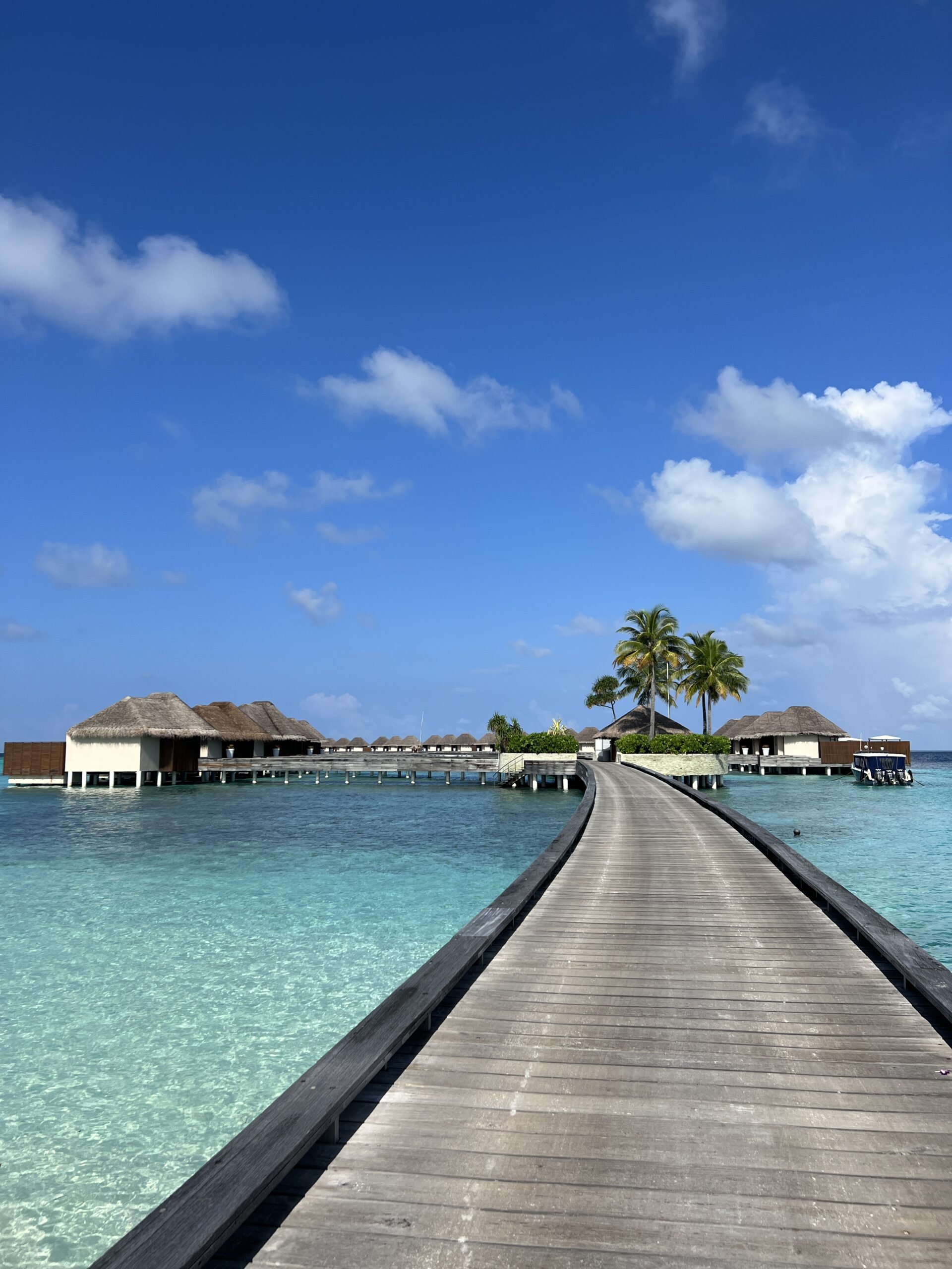 Ultimate Honeymoon Experience at The W Marriott Maldives