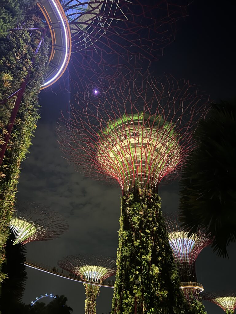 The supergrove trees lit up at night for the free night show.