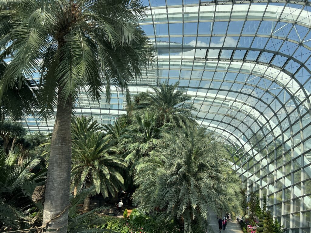 Inside of the Flower dome with palm trees inside the interactive Gardens by the bay in Singapore. 