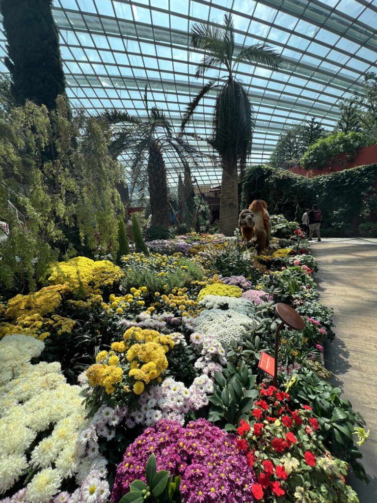 Inside the flower dome of the gardens by the bay.