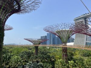 Supergrove Trees in Gardens By the Bay
