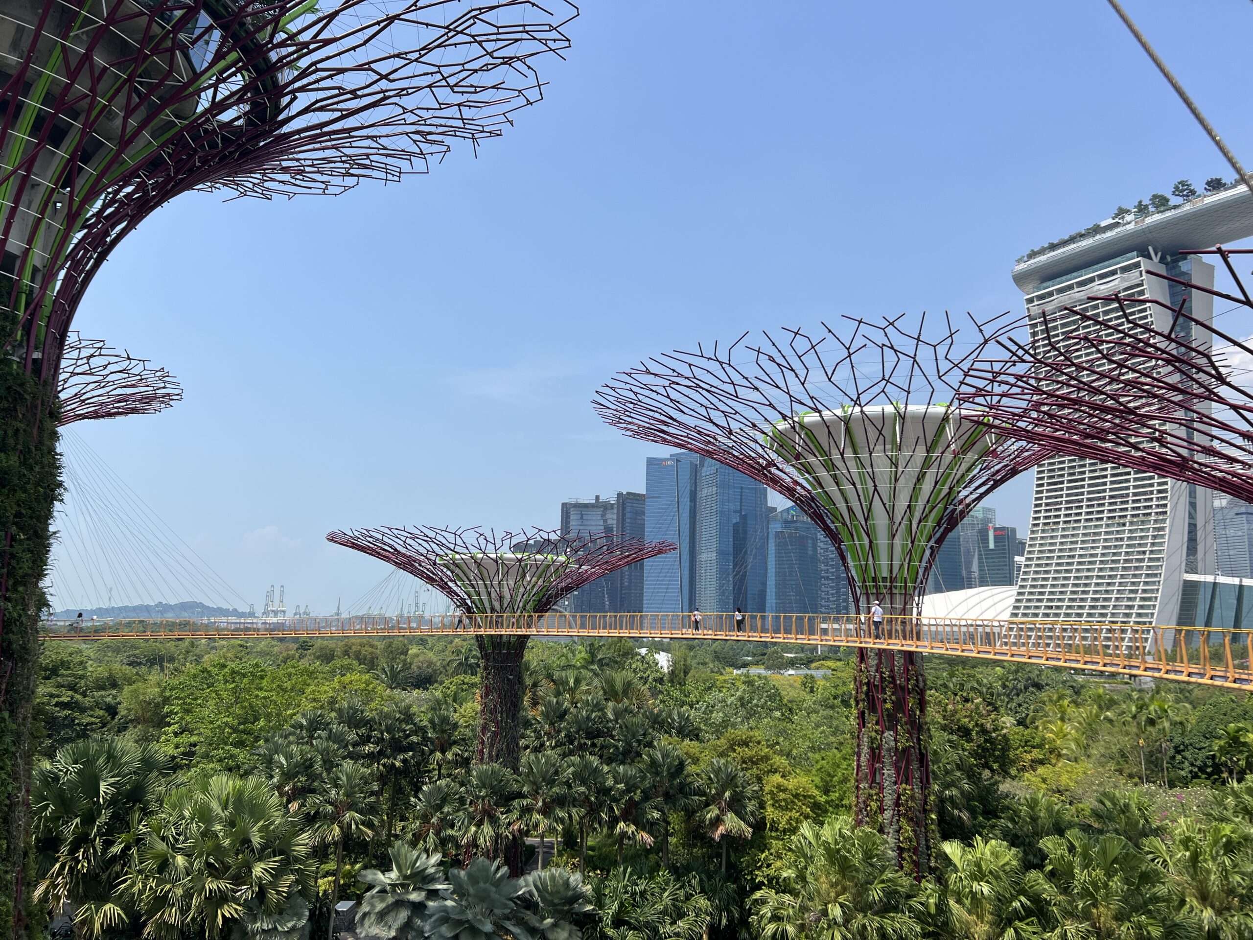 Supergrove Trees in Gardens By the Bay
