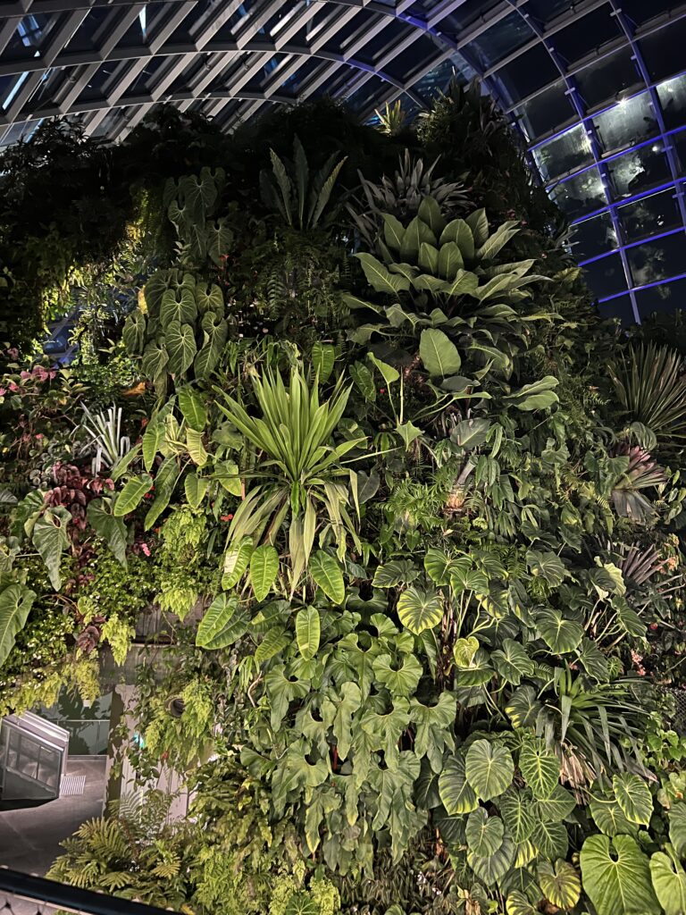 Cloud Forest wall covered in plants hundreds of feet tall at the Gardens By the Bay interactive activity in Singapore.