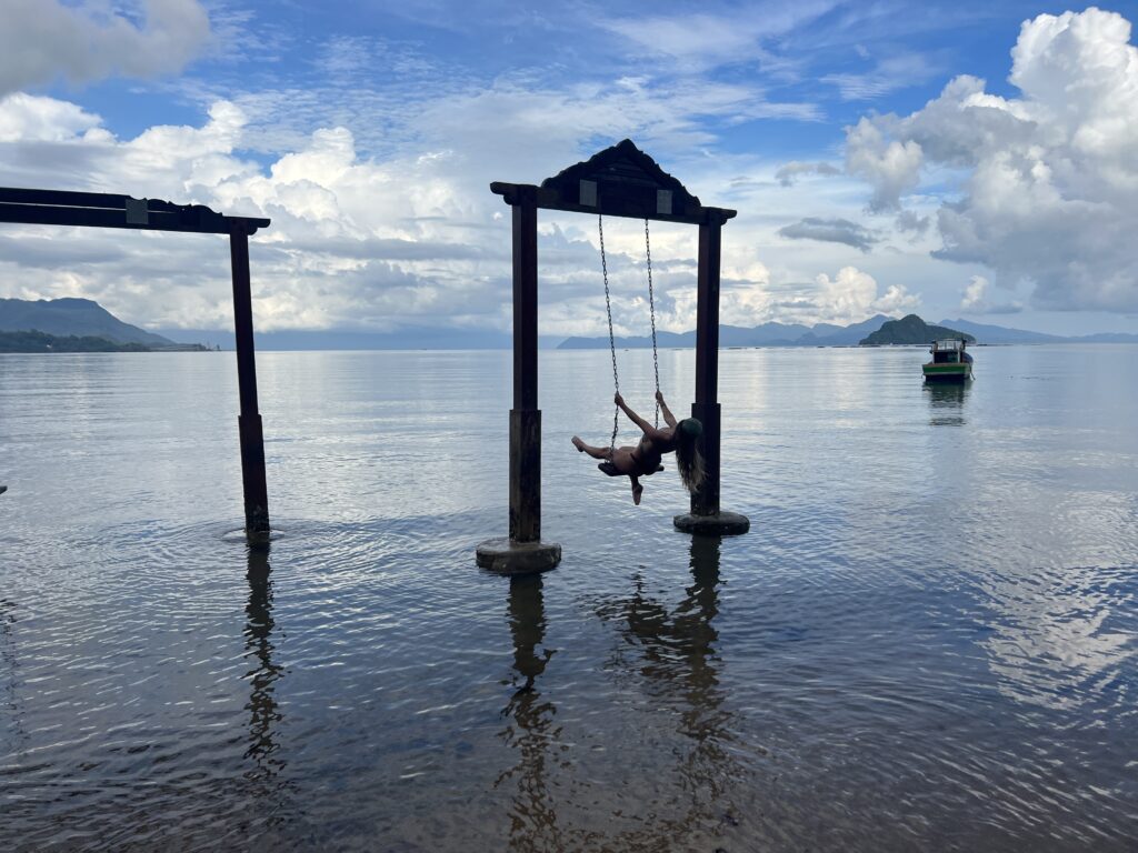 swing on the black sand beach